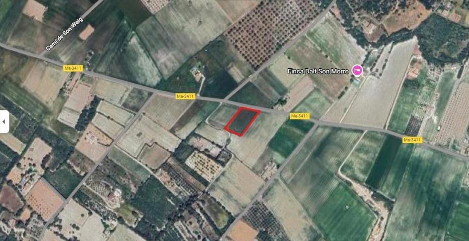 Se vende magnífico terreno rústico en Muro photo 0