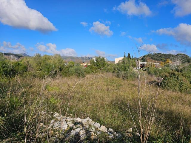 Gran solar comercial de 1.175 m2 en el Polígono de Artà, OPORTUNIDAD! photo 0
