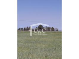 EN VENTA PARCELA RUSTICA CON DOS CASAS photo 0