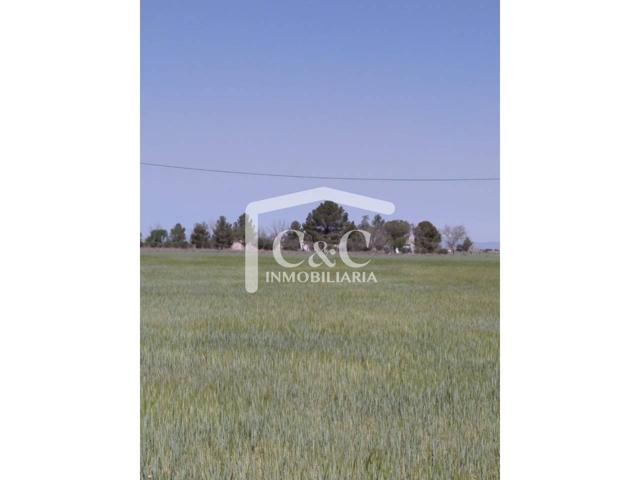 EN VENTA PARCELA RUSTICA CON DOS CASAS photo 0