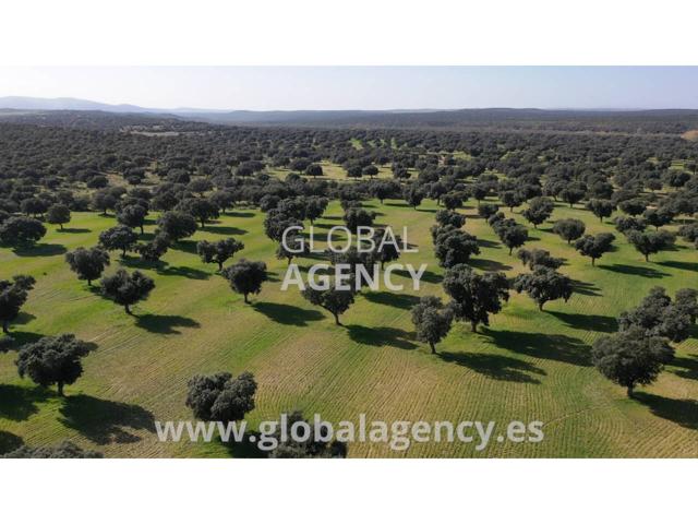 Terreno en venta en Villacastín photo 0