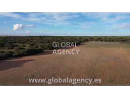 Terreno en venta en Centro-Villacerrada-Pajarita(02001) photo 0