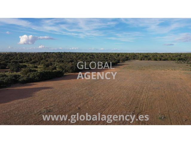 Terreno en venta en Centro-Villacerrada-Pajarita(02001) photo 0
