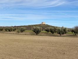 SE VENDE TERRENO EN SONSECA POR 14.900 € photo 0