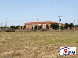 SE VENDE TERRENO EN SONSECA POR 120.000 € photo 0