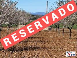 TERRENO EN VENTA EN SONSECA por 28.500 € photo 0