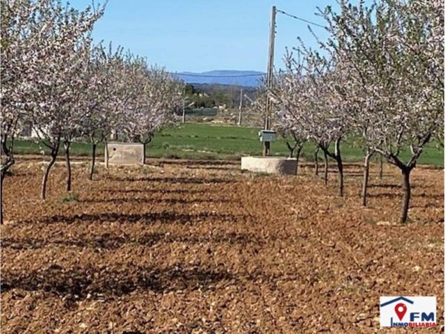 TERRENO EN VENTA EN SONSECA por 28.500 € photo 0