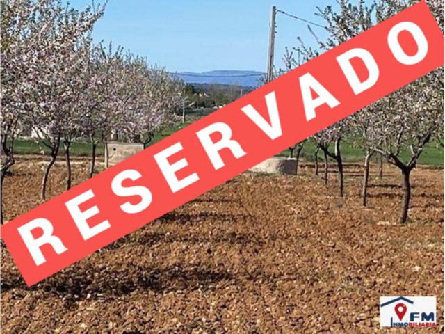 TERRENO EN VENTA EN SONSECA por 28.500 € photo 0