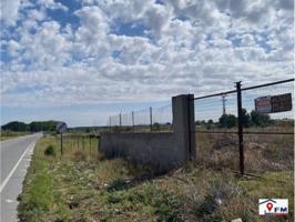 SE VENDE TERRENO EN SONSECA POR 12.000 € photo 0