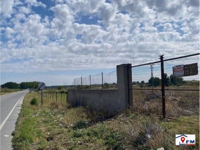 SE VENDE TERRENO EN SONSECA POR 12.000 € photo 0
