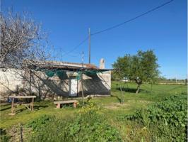 SE VENDE TERRENO RUSTICO EN SONSECA photo 0