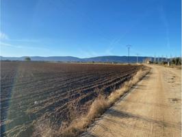 SE VENDE FINCA RUSTICA photo 0