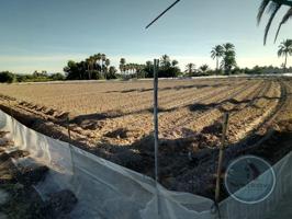 Otro En venta en Elche - Elx photo 0