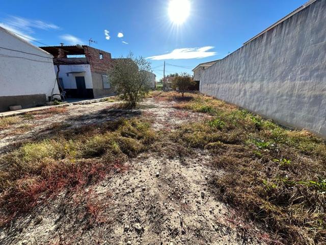 Oportunidad Única: Casa Rústica con Amplia Parcela en Alguazas photo 0