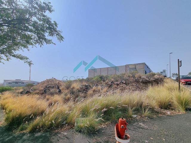 Terreno en venta en Las Chafiras de 1930 m2 photo 0