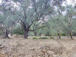 Descubre un Paraíso Natural en Esta Encantadora Finca con Vistas al Pantano de Beznar photo 0