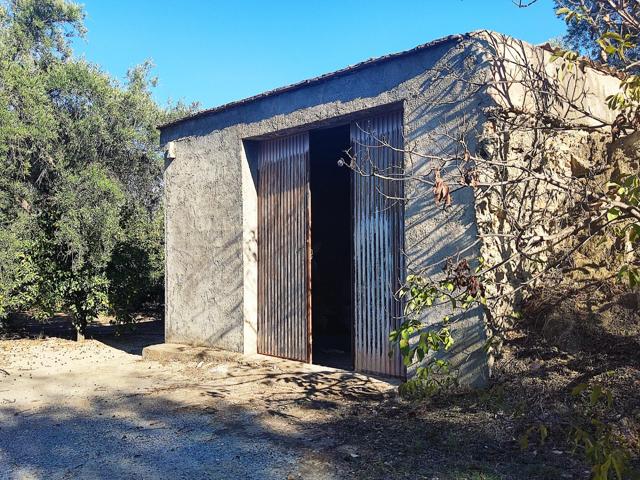 El valle de lecrin ENAMORA!!!!!!!!! photo 0