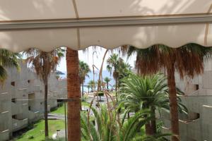 APARTAMENTO EN ALBORADA photo 0