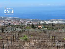 Finca de viñedos con casa en venta en Guia de Isora Tenerife photo 0