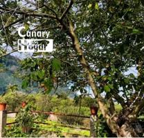 Finca rustica en venta en las Llanadas Los Realejos photo 0