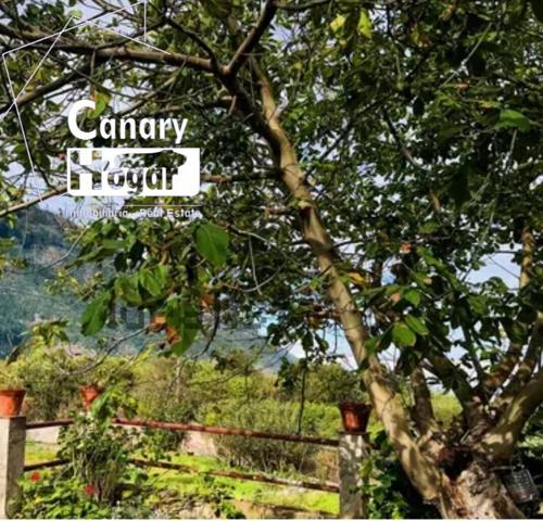 Finca rustica en venta en las Llanadas Los Realejos photo 0