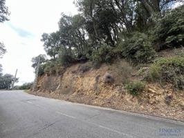 Santa Cristina d'Aro, Parcela edificable photo 0