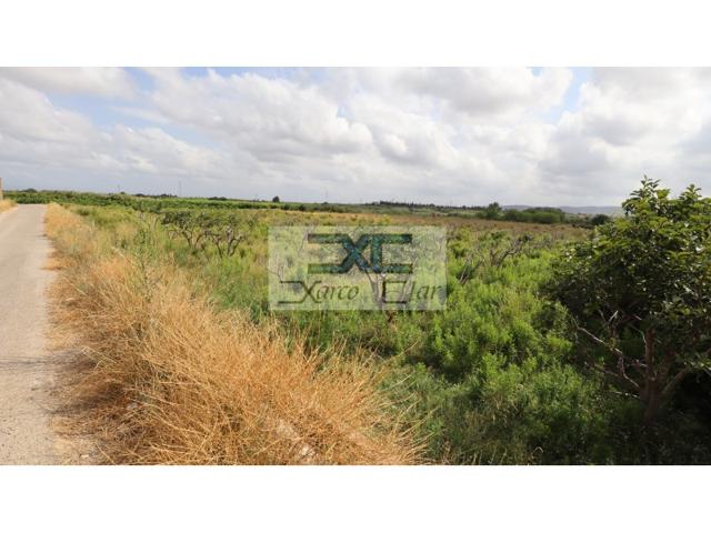 Otro En venta en Alfarp photo 0