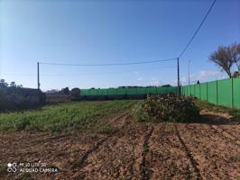 Terreno Urbanizable En venta en Carretera Sanlucar, Chipiona photo 0