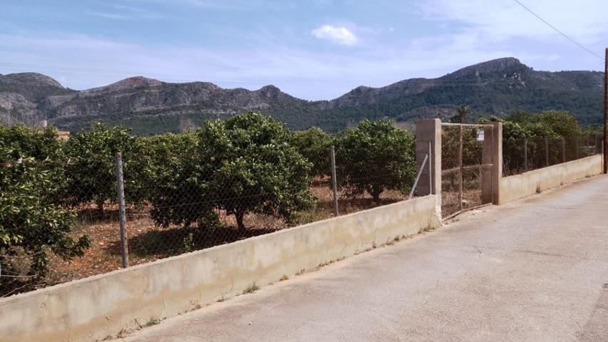 Terreno De Cultivo en Venta en Marxuquera, Valencia photo 0