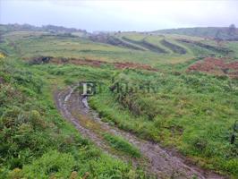 Finca Rústica en venta en San Juan de la Rambla de 40900 m2 photo 0