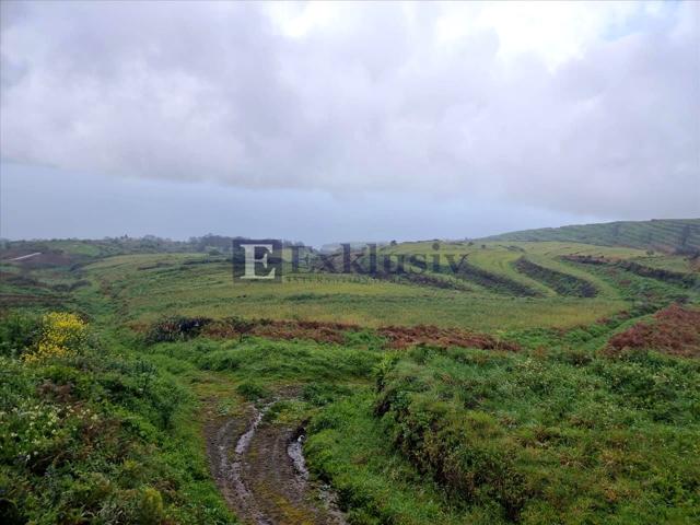 Finca Rústica en venta en San Juan de la Rambla de 40900 m2 photo 0