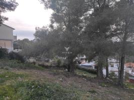 TERRENO EN VENTA CANYELLES- VORA SITGES photo 0