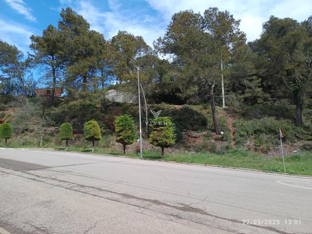 Terreno en venta en La Font del Bosc (Mediona) photo 0
