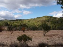 Finca rustica con chalet photo 0