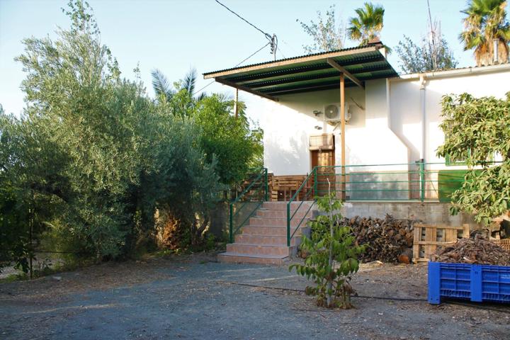 CASA+NAVE+PISCINA+PARCELA EN PRODUCCIÓN EN EL GINETE photo 0