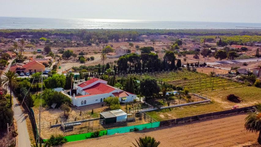 CASA CON PISCINA EN LA MARINA DE ELCHE (ALICANTE) photo 0