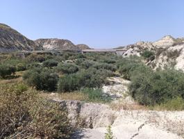 TERRENO EN ALBUDEITE photo 0