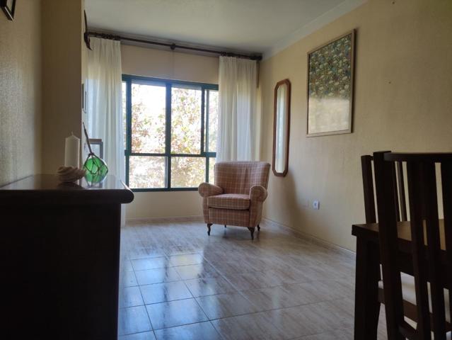 Estudio en Juan de Borbón photo 0