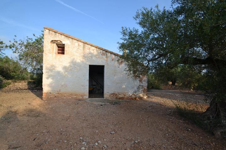 Finca rústica con casa de campo a L’Ampolla photo 0