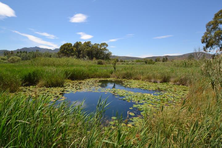 ​Finca de 7.329m² con Masía photo 0