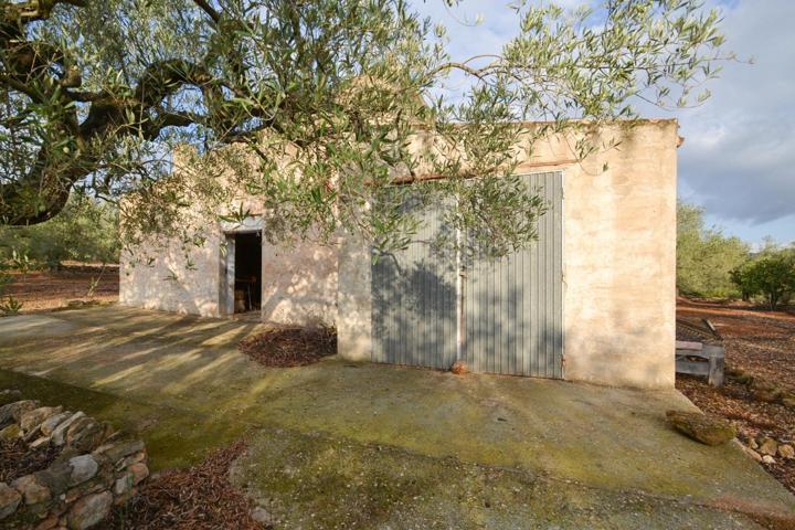 ​Finca rústica en El Perelló photo 0