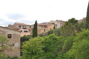 Casa con carácter histórico en Prat de Comte – Amplios espacios, encanto original y vistas a la mont photo 0