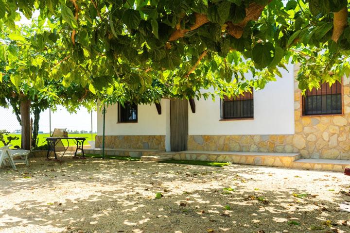 Finca rústica con casa de campo en els Muntells, Delta del Ebro photo 0