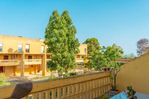 Dúplex a la venta en Deltebre a escasos metros del paseo fluvial y del río Ebro photo 0