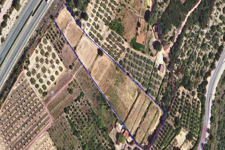 Finca rústica en Freginals, con agua y luz, a un paso del pueblo photo 0