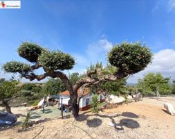 MAGNÍFICA FINCA EN VENTA CERCA DE LA POBLACION DE L'AMPOLLA photo 0