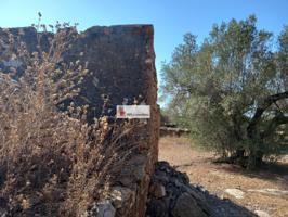 FINCA RÚSTICA DE DOS HECTAREAS Y MEDIA A LA VENTA EN L'AMPOLLA photo 0