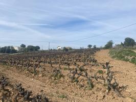 Terreno en venta en Sant Martí Sarroca photo 0