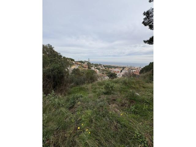 TERRENO RUSTICO EN VENTA EN PREMIA DE DALT (LA PIXOTELLA) photo 0