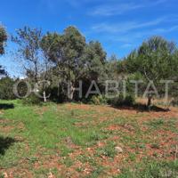 Terreno Urbanizable En venta en Calle Ametla, El Montgó, Denia photo 0